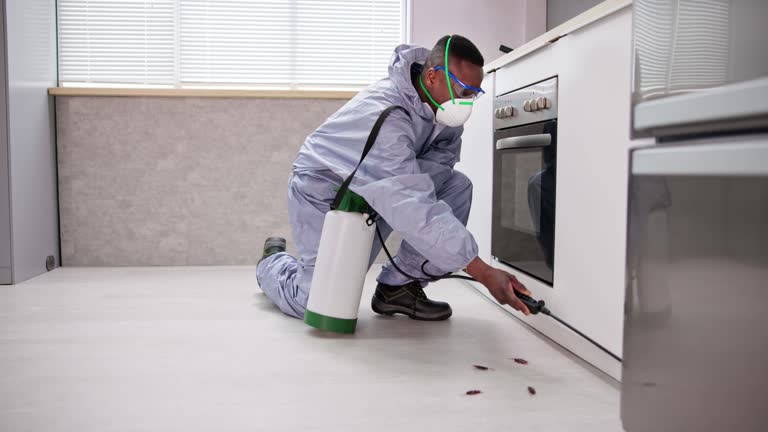 Best Pest Control for Multi-Family Homes  in Stone Park, IL